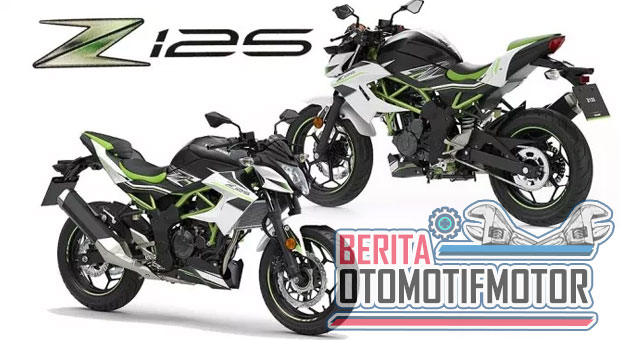 Mengenal Motor Mungil Kawasaki, KSR Pro dan Z125 Pro